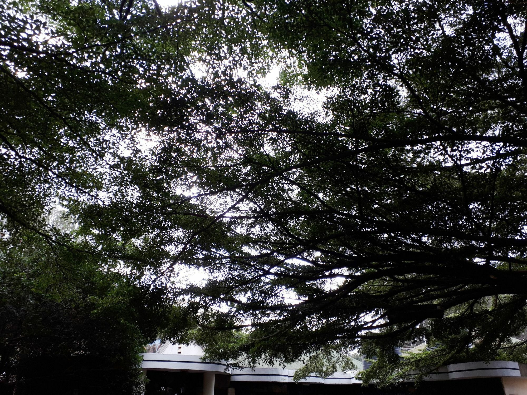 Bermuda Garden Hotel Nairobi Exteriör bild