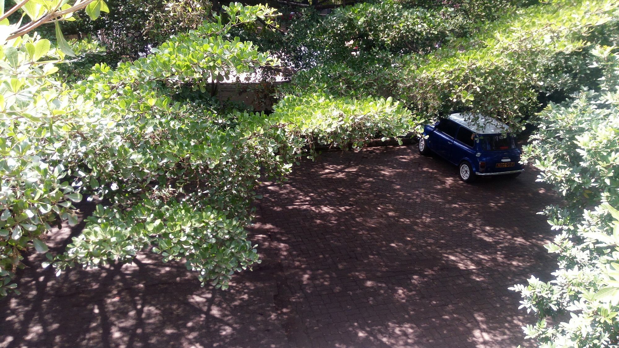 Bermuda Garden Hotel Nairobi Exteriör bild
